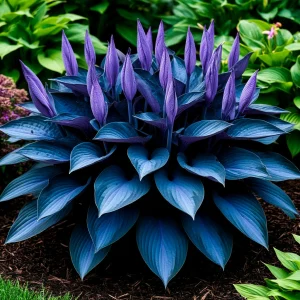 Хоста Сикрет Гров купить по цене от 570р. в интернет-магазине «Посадика» с доставкой почтой в в Бородиное и по всей России – [изображение №1].