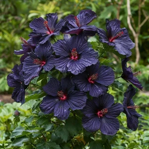 Гибискус Мэджик Момент купить по цене от 699р. в интернет-магазине «Посадика» с доставкой почтой в в Бородиное и по всей России – [изображение №1].